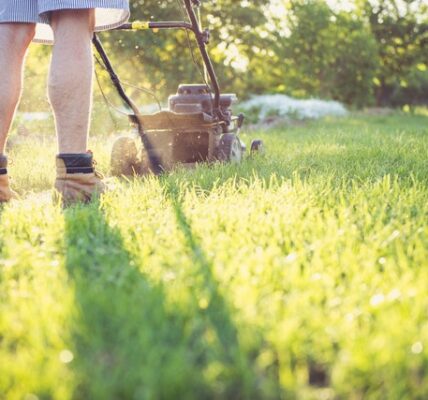 Jak ciężko utrzymać idealny trawnik
